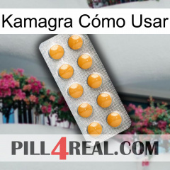 Kamagra Cómo Usar levitra1